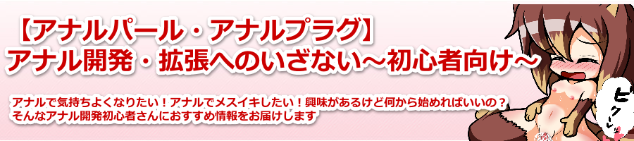 �y�A�i���p�[���E�A�i���v���O�z�A�i���g�����J���ւ̗U�������S�Ҍ���